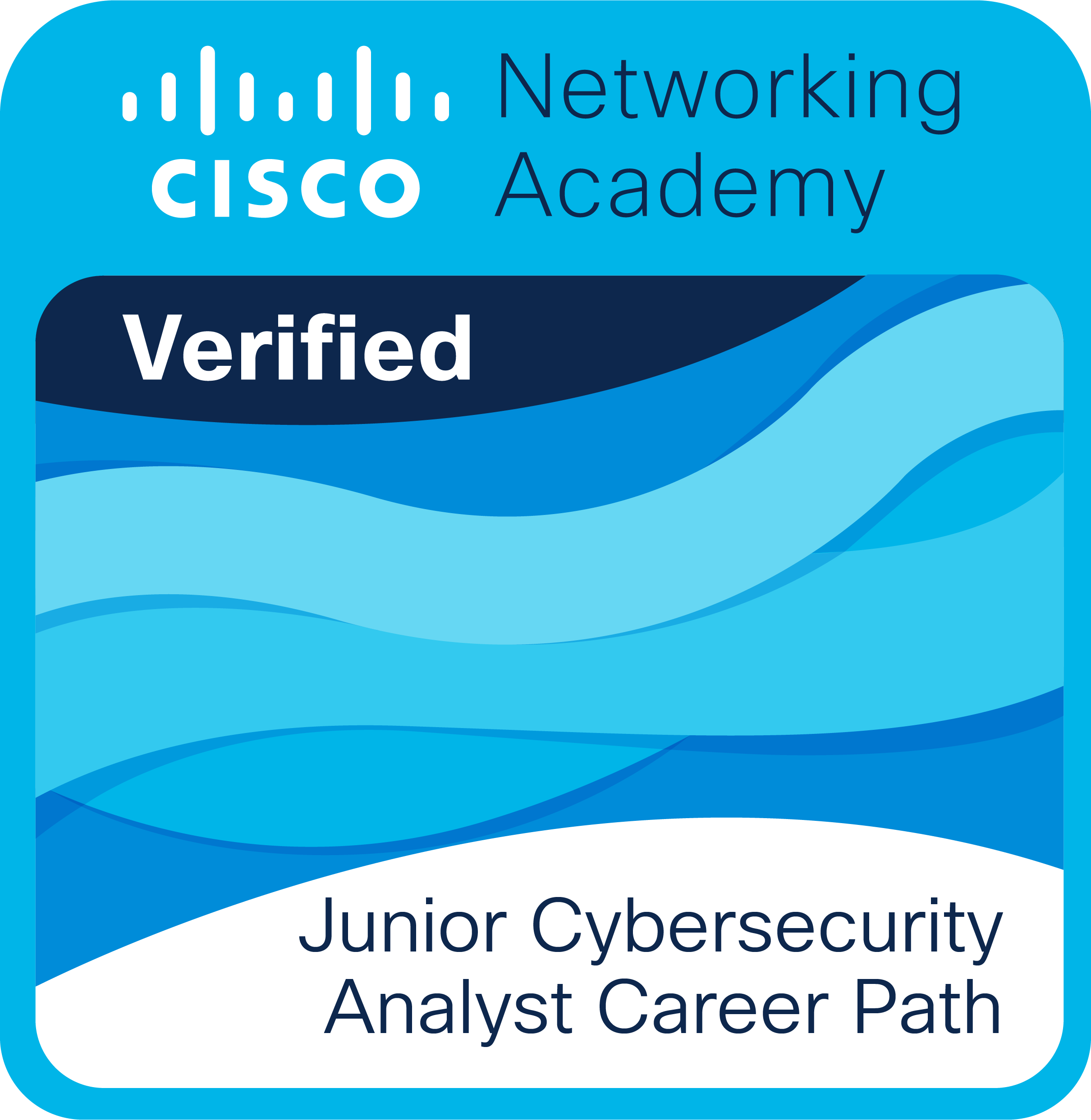 Jr Cybersecurity Analyst